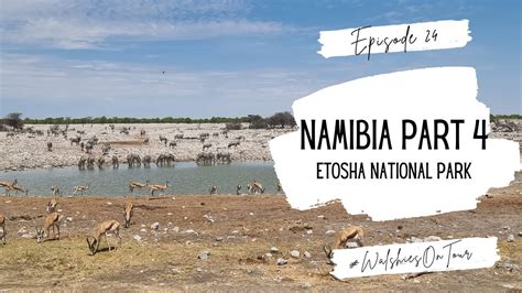 namibia videos